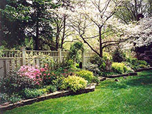 small mixed border